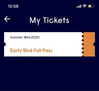 FULL PASS Summer Well Festival 9-11 August 2024 - Early Bird