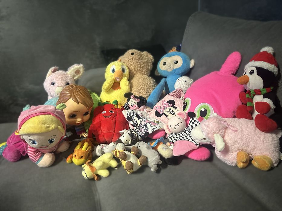 Lot jucarii plus si interactive