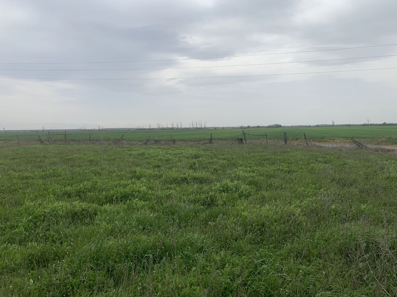 Продава се Парцел в с. Малко Кадиево, Област Стара Загора - 625 кв.м за 40 €/кв.м - Снимка #6