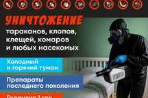 Уничтожение насекомых, клопов, тараканов. Дезинфекция Ташкент Dezinf-9