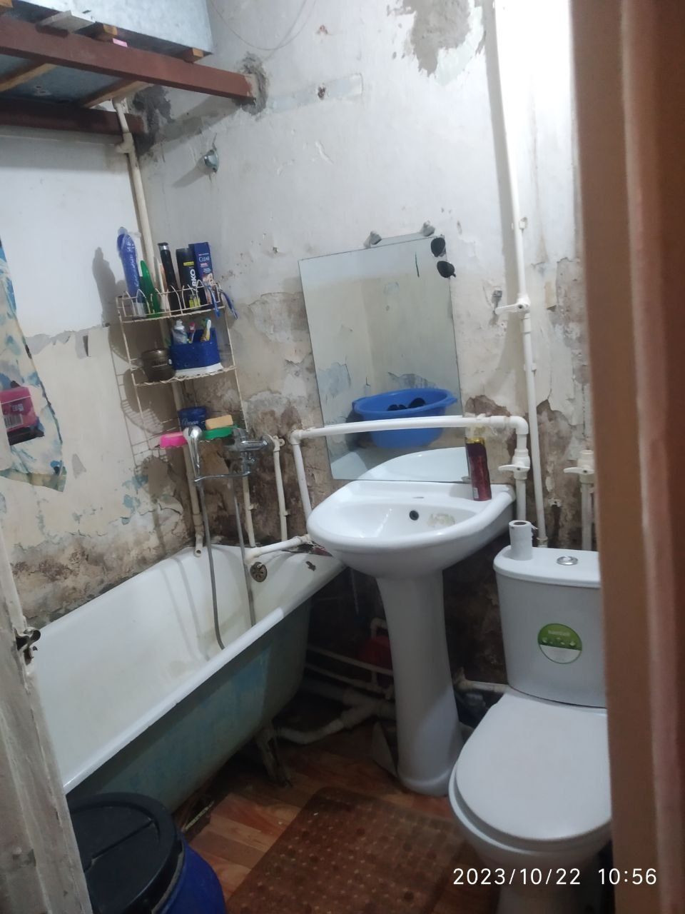 Ijaraga beriladi Oylaga