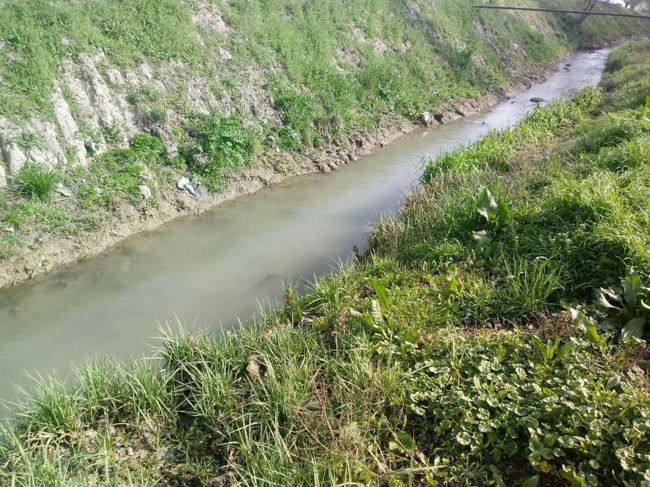 Тошкент вилоятида участкалар сотилади