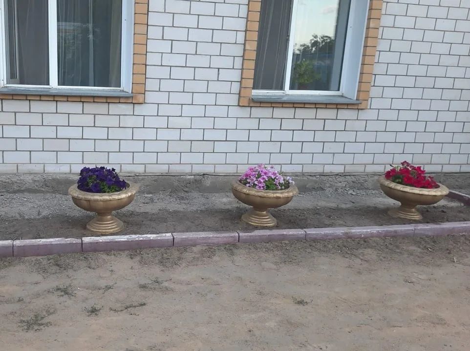 Вазоны для цветов, цветочник, клумба