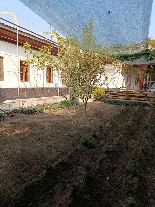 Участка ховли сотилади 6 сотих