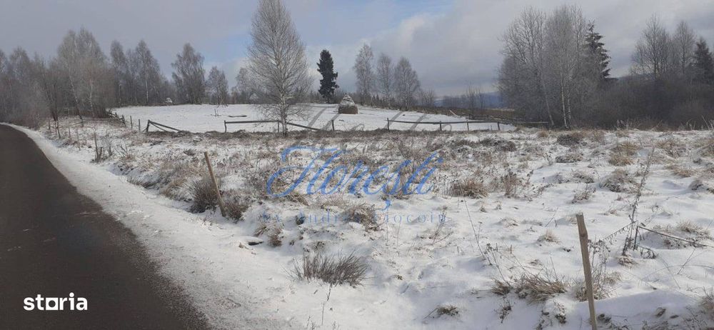 Teren intavilan, 3000 mp, front la stradal 16mp. zona Rasca