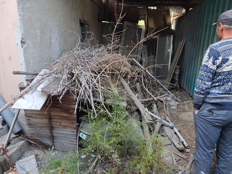 Отдам бесплатно дрова и ветки