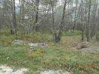 Teren intravilan - 2.740 mp, Predelut