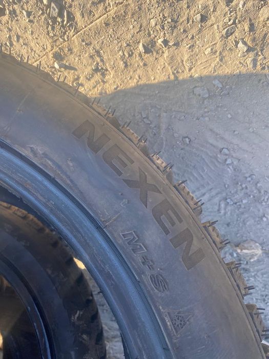 Резина зимняя шипованная