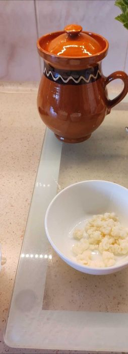 Ciuperca kefir tibetana ciuperca lapte