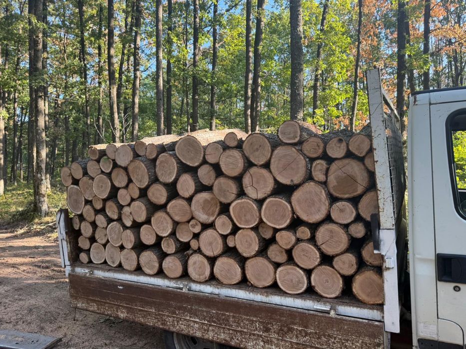 Vând lemne de foc esență tare