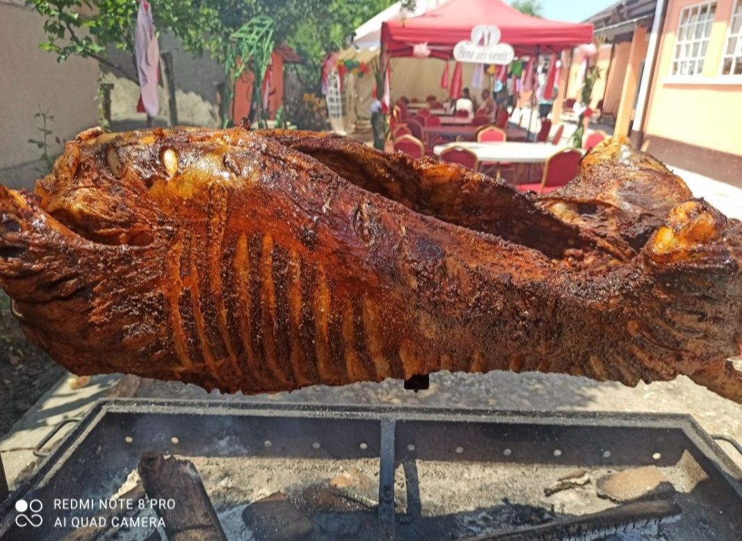 Proțap Traditional berbecuț