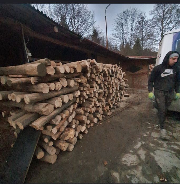 Lemne de foc esență tare fag