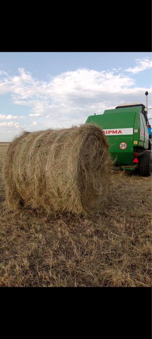 Продам сено житняк