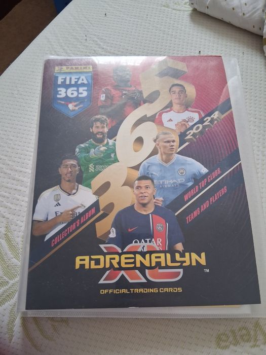 Album cărți de fotbal