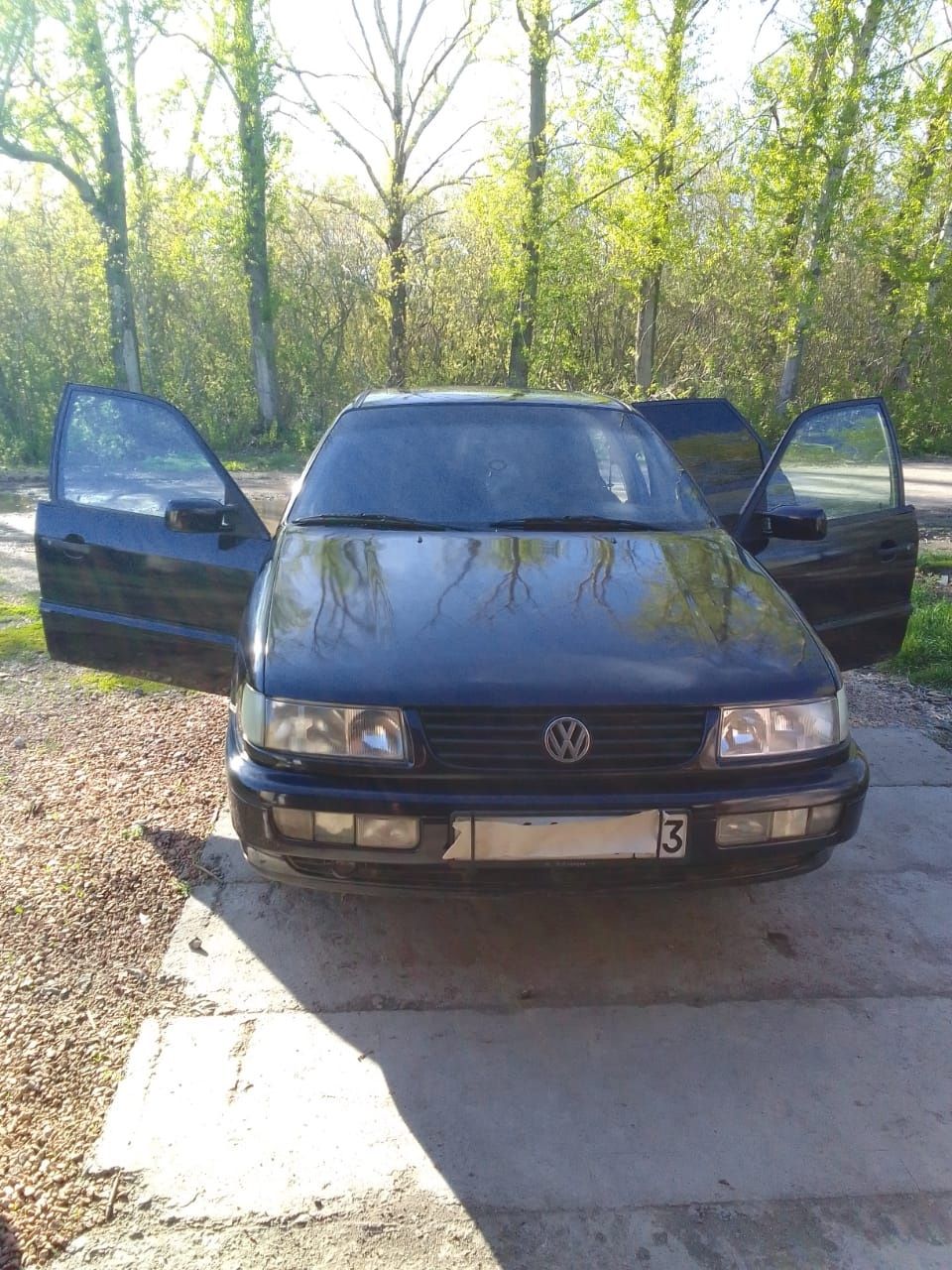 Volkswagen Passat_GL