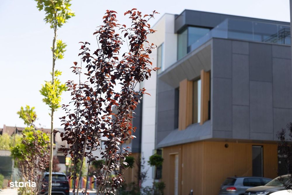 NEXO Nature Pipera FINALIZAT-Vile Inteligente-PiscinăÎncălzită-6camere