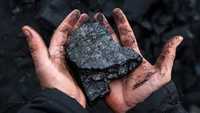 Уголь сортовой шибаркуль кара жара Зил доставка до 7 тонн не дорого