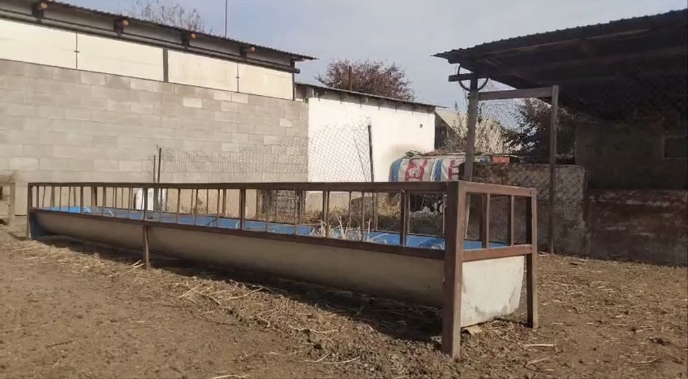 Кормушка для баранов