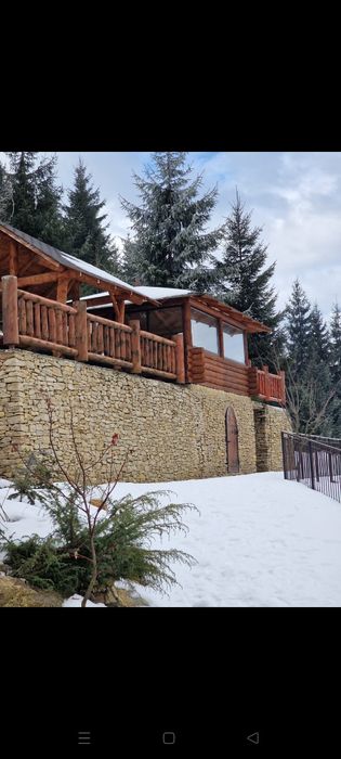Cabana lemn, Vatra Dornei