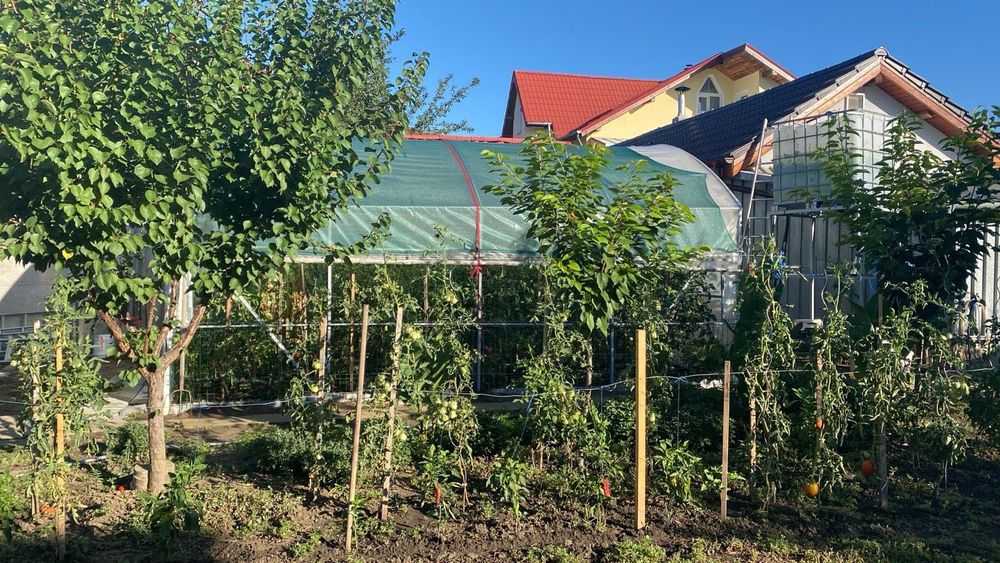 Solar 6x4 m cu înălțimea 3m