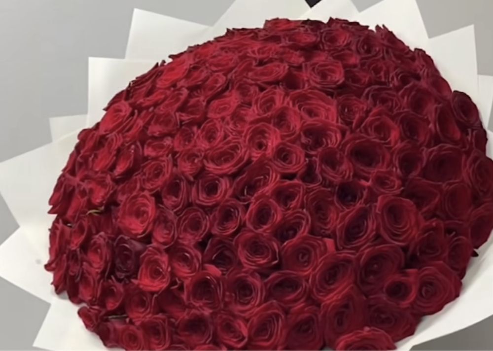 Новый и свежий букет роз . 151 роза по самой низкой цене !