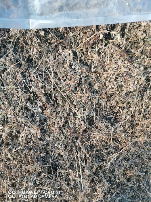 Vand lucernă si baloti mari din buruieni