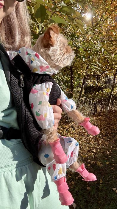 Set de ploaie pentru căței de talie mică – pelerină + cizmulite