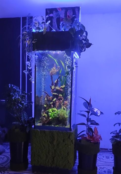 В продаже Аквариум Колонна