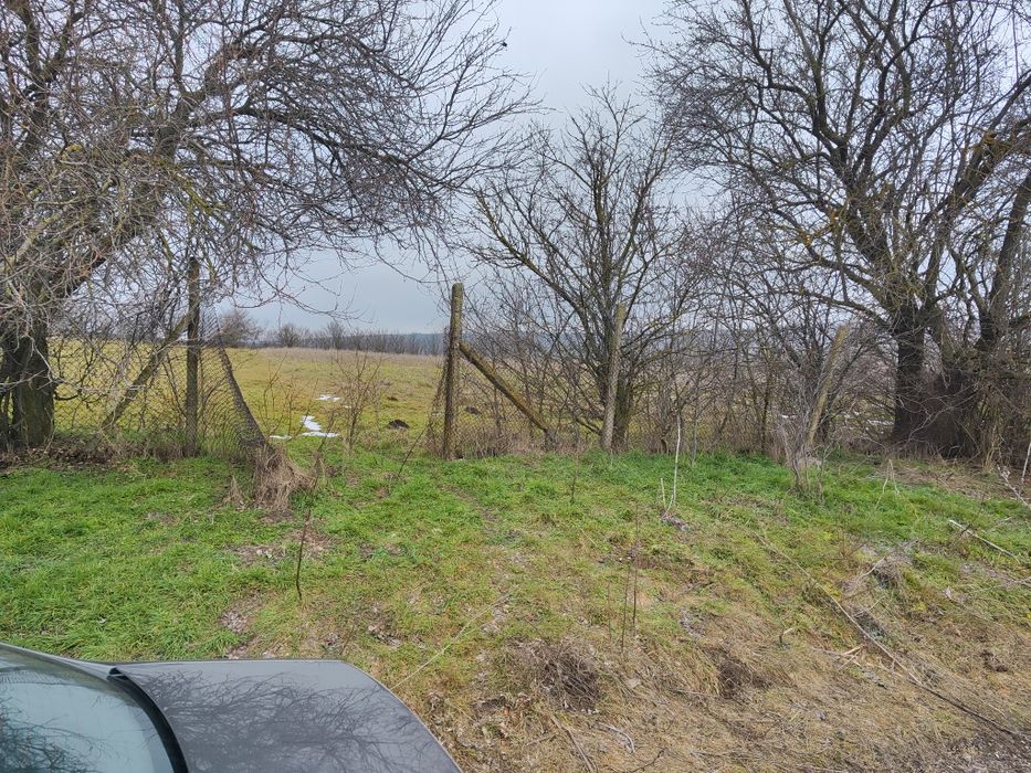 Продава се Парцел в с. Ягнило, Област Варна - 1550 кв.м за 7 €/кв.м - Снимка #3