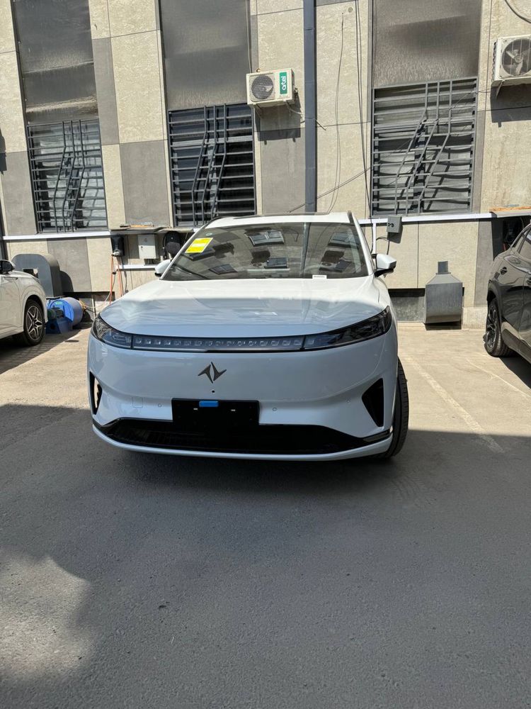 Dongfeng 008 Gibrid nalichiy bor