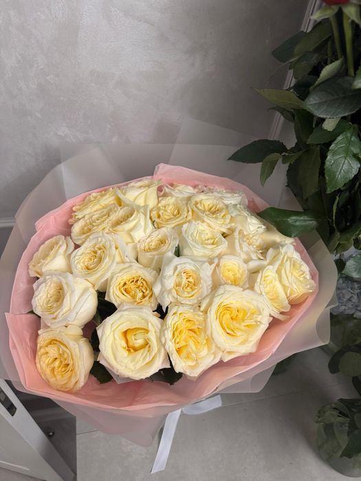 Цветы, продам срочно