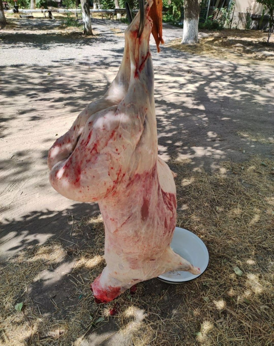 Кассоб хизмати мясник услуга