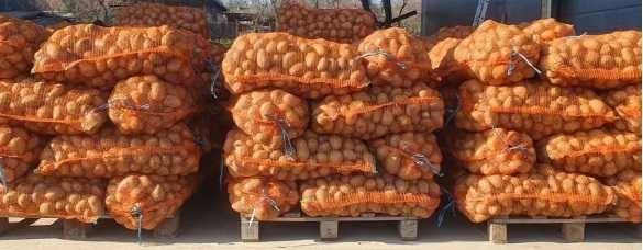 Cartofi Esmee, ambalat 06. dec. 2025