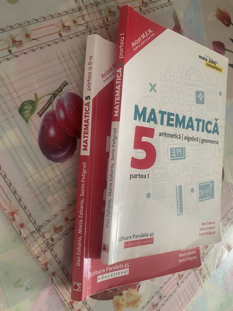 M.Zaharia, D.Zaharia- Set culegeri matematică clasa a V-a- sem. 1+2