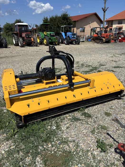 Tocatoare Orsi Dinamic 2000 an 2024