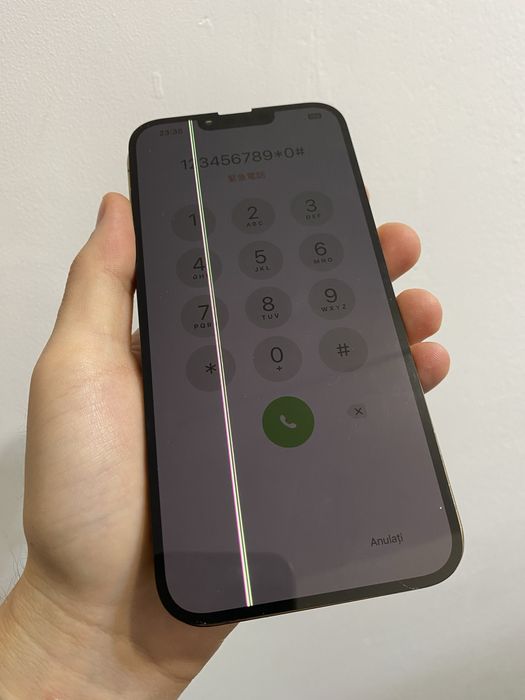  Display Original iPhone 13 Pro Max  *Dungă* [M0848]