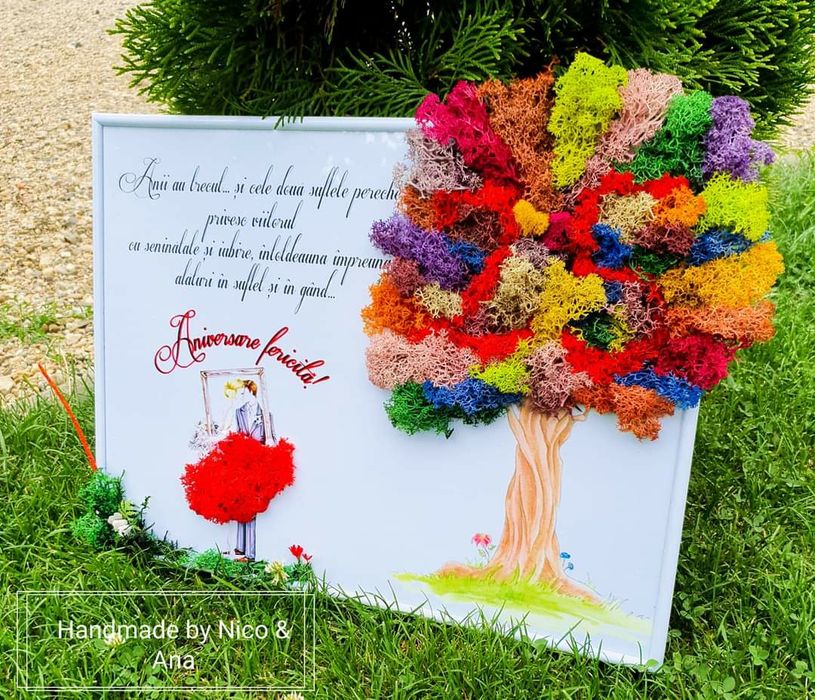 Vând aranjamente,tablouri si ceasuri cu lichieni stabilizați