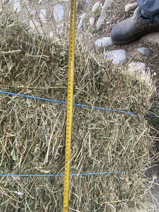 Vand baloti fan calitate superioara