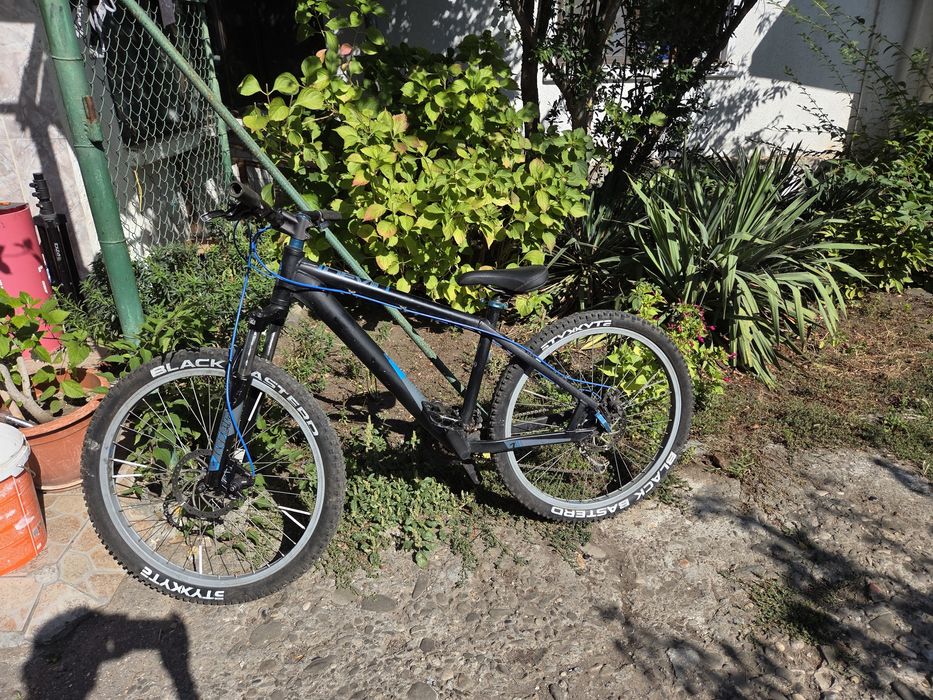 Dirt jumper [mtb] bulls