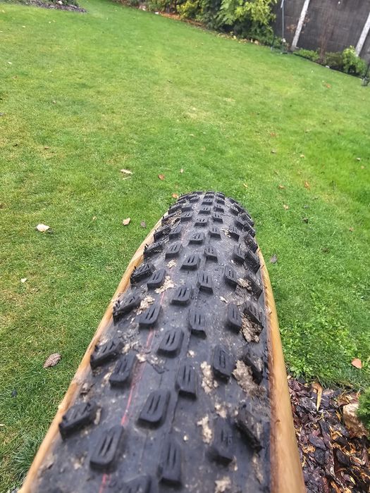 Schwalbe Racing Ralph Folding Tire - Evolution | AddixSpeed