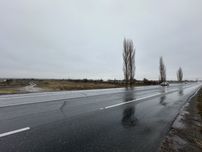 Teren de vanzare E85 Oreavu