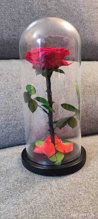 Вечна Роза в Стъкленица / Подарък за Жена