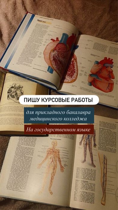 Пишу курсовые работы, для прикладного бакалавра мед колледж
