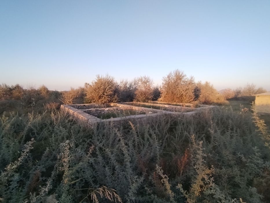Участок 10 соток