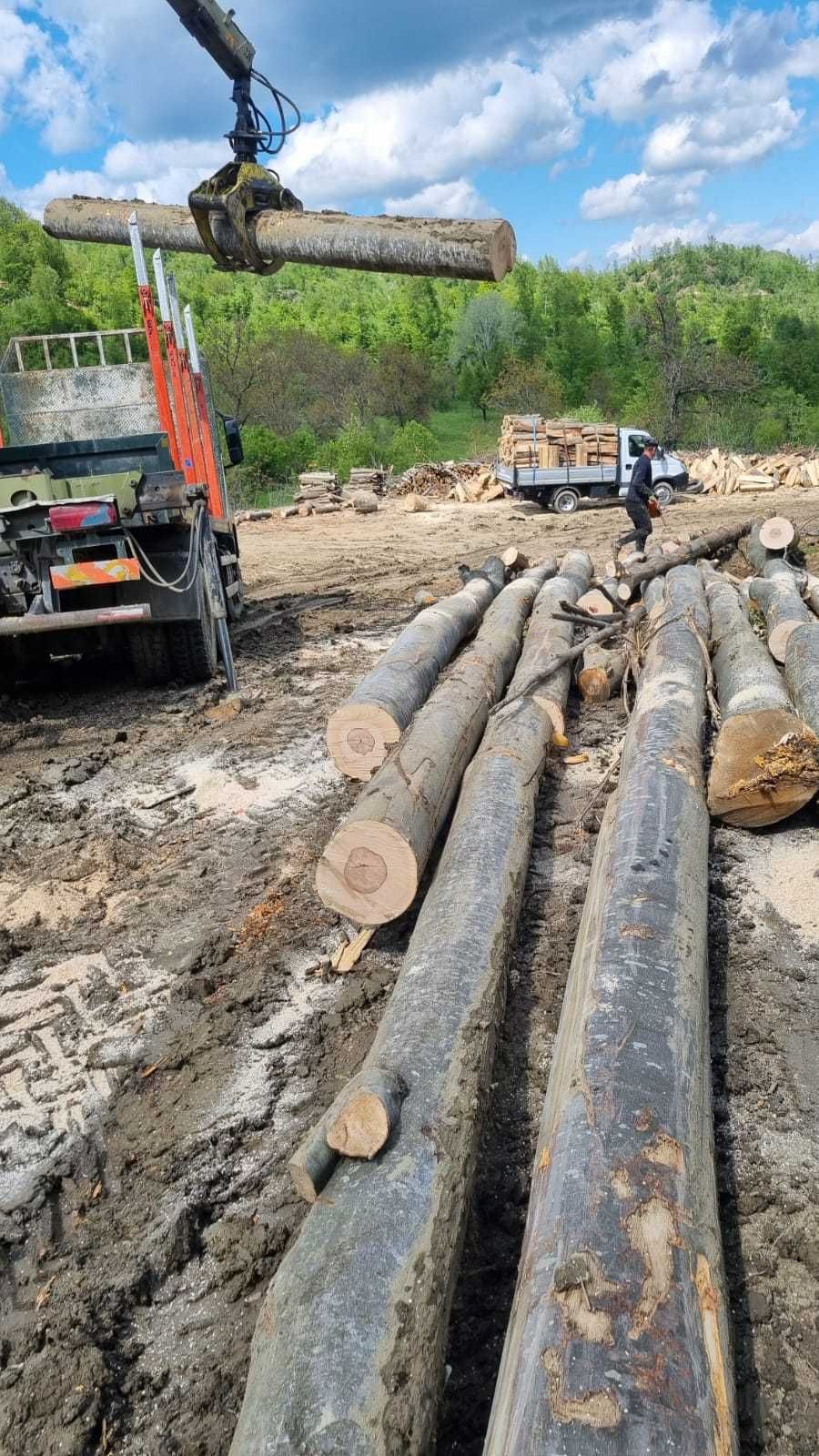 Lemne de foc uscate si taiate, salcam si fag, transport Galati-Braila