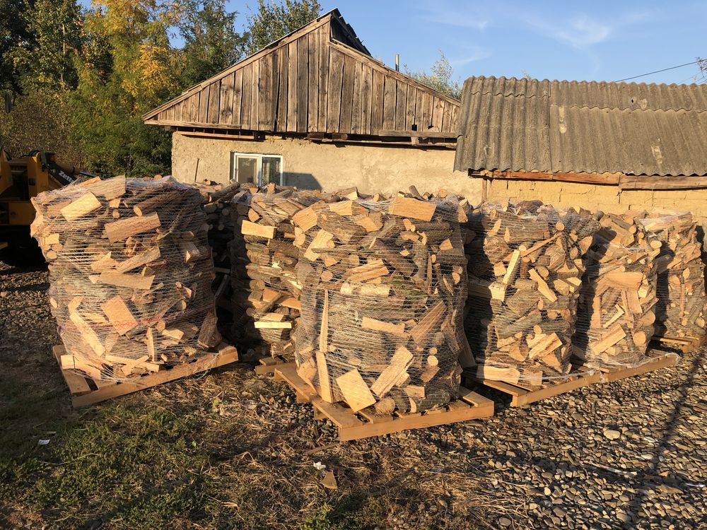 Lemne de foc esența tare/lemne de fag