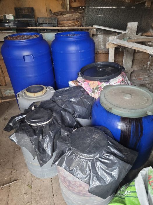 Prune pentru țuică