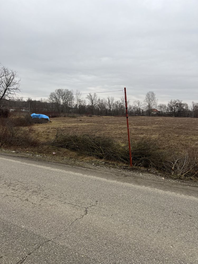 Inchiriez Teren Intravilan 0,5 ha , 1 Ha , 3 Ha , langa Parc Logistic