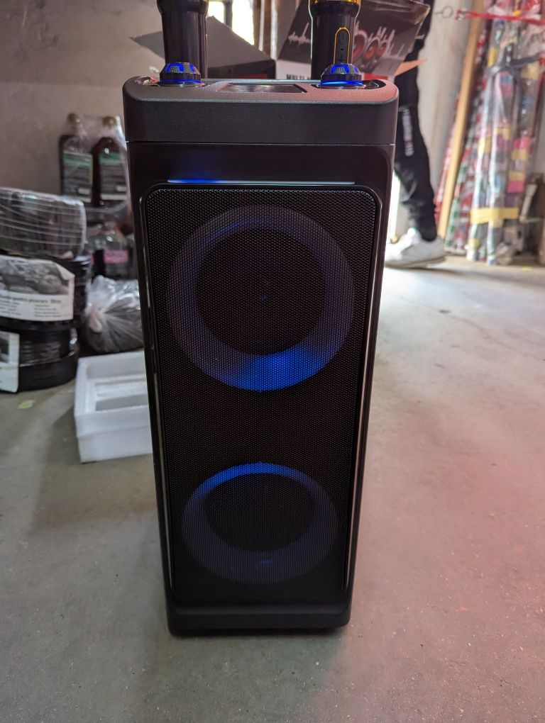 Boxa cu doua microfoane