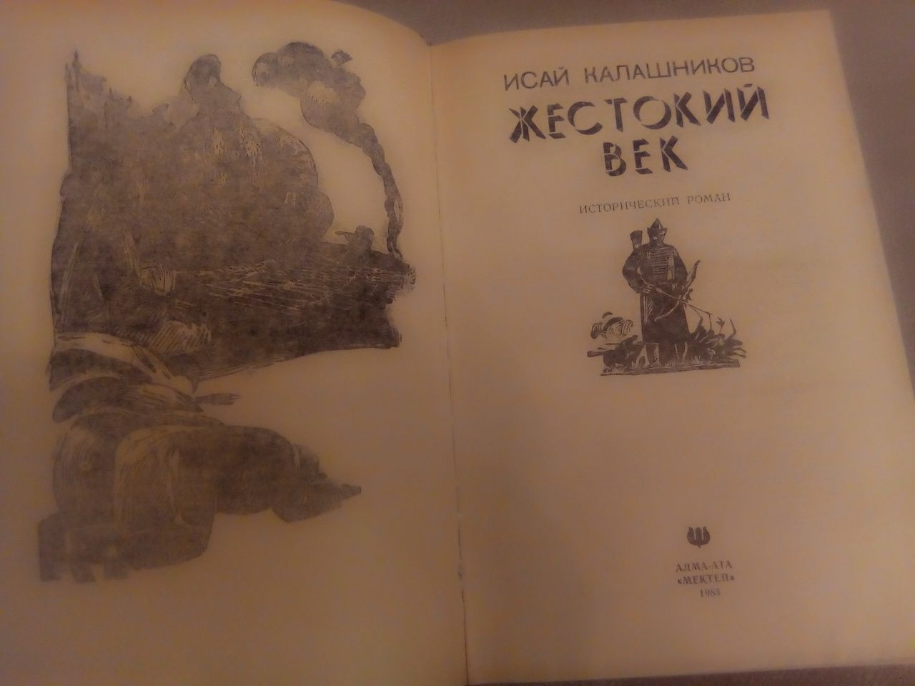 Жестокий век книга